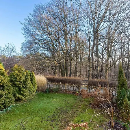 W Gdyni Z Ogrodkiem I 2 Sypialniami By Rent Like